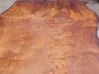 Close-up of 3 inch thick, live edge slab cut from Whole Burl Log. Available in 3 inch x 48 - 60 inch wide, 12 feet plus long. Very limited supply--one of a kind.
