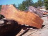 From Whole Burl Log.