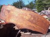 Showing details in cut from Whole Burl Log.