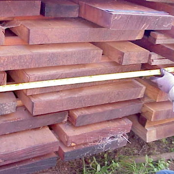 forest-table-woodpng