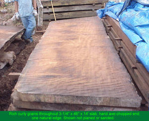 Rich Redwood Curly Grains