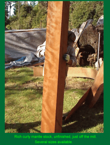 Rich curly mantle stock unfinished