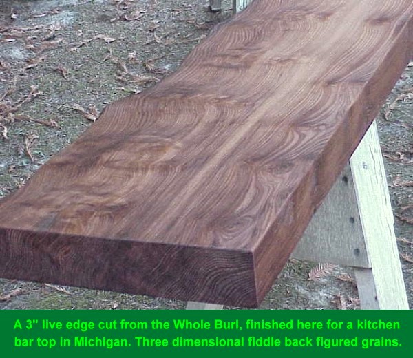 One of a kind burl log