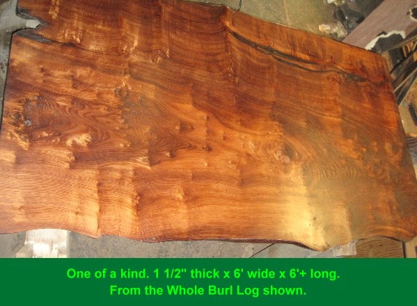 One of a kind burl log