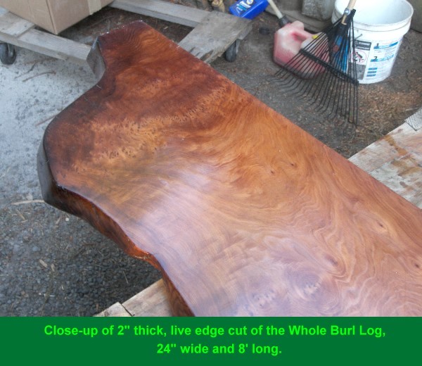 Table Live Edge Burl Top
