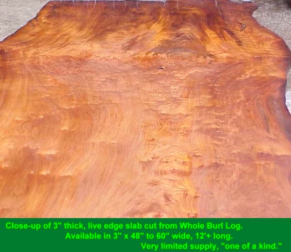 Live edge slab cut from whole burl log